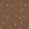 T 013 H Sandcopper sm